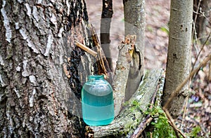 Birch sap