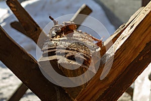 The birch sawn log lies on boards