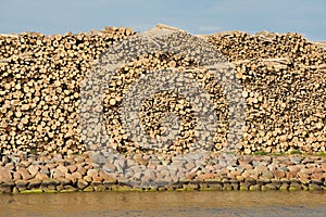 Birch timber. Loading of logs in the port