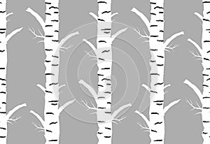 Birch tree autmn. seamless pattern