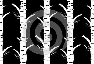 Birch tree autumn. seamless pattern black background