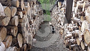 Birch tree firewood stack background