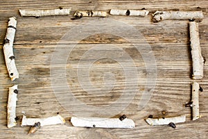 Birch tree trunks and branches