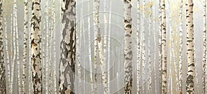 Birch trees in autumn forest in cloudy weather, fall panorama