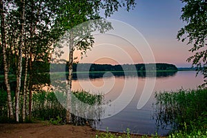 Birch trees on the Lake Seliger shore at sunset