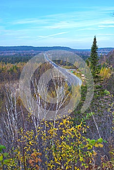 Birch trees overlooking the Transcanada Highway from the town of