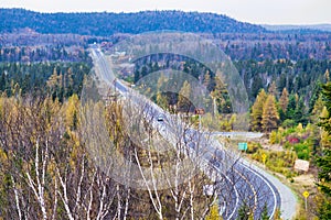 Birch trees overlooking the Transcanada Highway from the town of photo