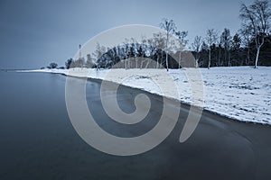 Birch trees on a snow-covered beach, Gdanska Bay, Poland