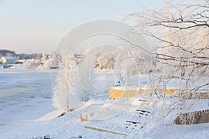 Birch on the waterfront in winter