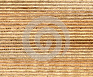 Birch wood section texture