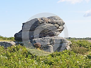 Large weathered gritstone outcrop named Royal Sovereign photo