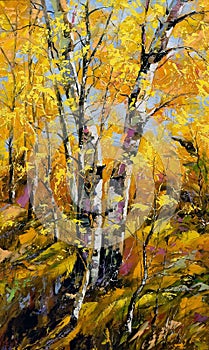 Birches in autumn wood