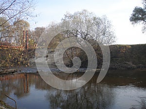 Trees and water in the foreground, forest in background, autumn, tree shadows