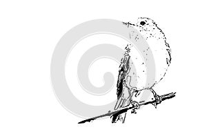 Vector illustration of a bird sitting on stick in black and white