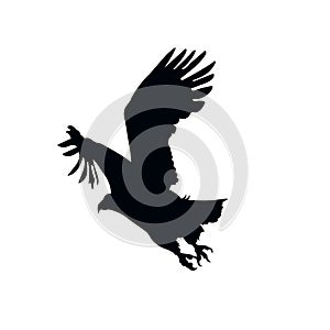 Eagle Falcon Bird Hawk Animal Silhouette Black Icon.