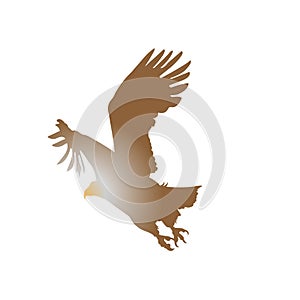 Eagle Falcon Bird Hawk Animal Silhouette Black Icon.