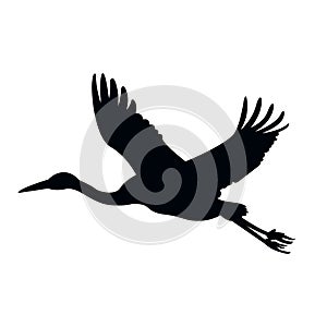 Vector silhouettes of heron.