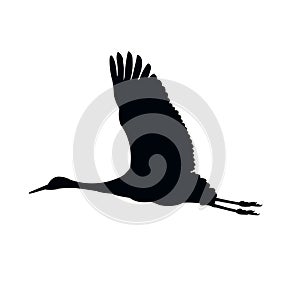 Vector silhouettes of heron.