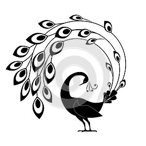 Bird abstract and religion peacock logo design vector