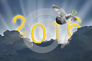 bird into the air on sky 2016 background , all