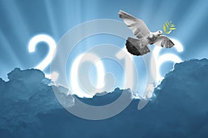 Bird into the air on sky 2016 background , all concept , beauty