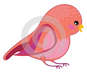 A bird with amazing signs, vector or color illustration