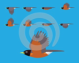 Bird American Robin Flying Cartoon Vector Animation Frame