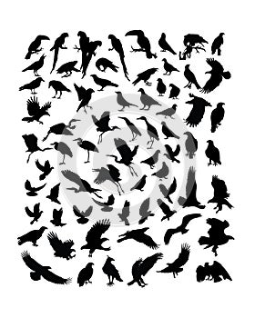 Bird Animal Activity Silhouettes