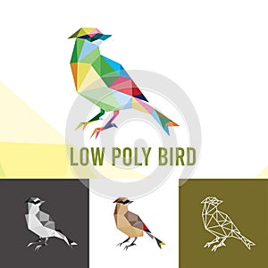 BIRD ILLUSTRATION WITH LOW POLY STYLE