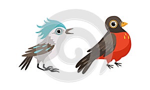 Bird as Winged Feathered Aves with Beaked Jaw Vector Set