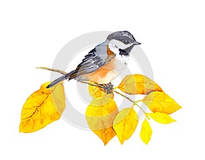 Bird at autumn branch with abstract yellow leaves. Watercolor