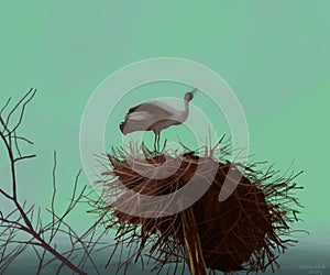 bird background spring nest blue sky