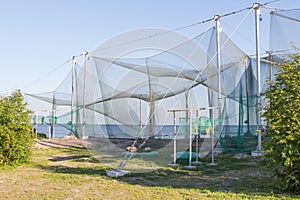 Bird banding station