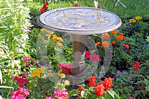 Bird Bath photo