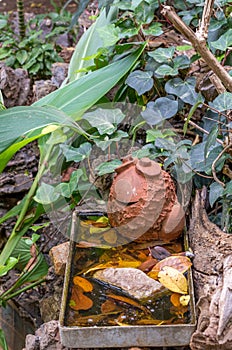 A bird bath in a quiet place in a garden