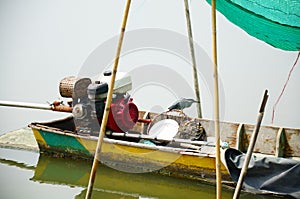 Bird on Boat