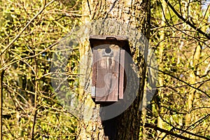 Bird booth hung on a tree