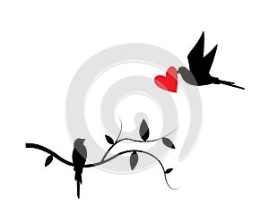 Bird on branch and flying bird silhouette isolated on white background