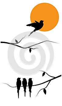 Flying bird silhouettes and birds on a tree illustration and sunset