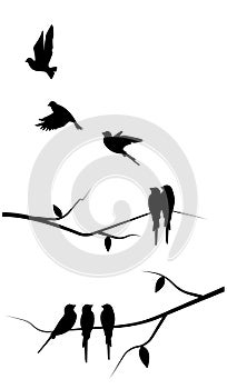 Flying bird silhouette and birds on a tree illustration