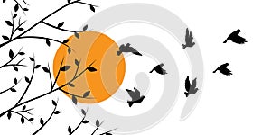 Flying birds silhouettes on sunset and branch illustration, vector