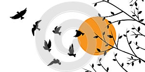 Flying birds silhouettes and trees illustration on sunset, vector