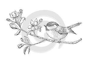 Bird on a branch with flowers painted by hand. vintage card with a bird. Vector illustration