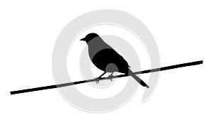Bird on Branch Outline Icon, Nature Wildlife Graphic, vector design Generative AI photo