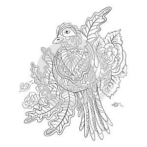 Bird on a branch with tea rose flowers. Coloring book page. Vector illustration