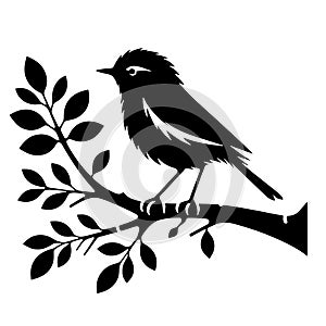 Bird on the branch of a tree clipart silhouette in black colour. Dove Vector illustration template