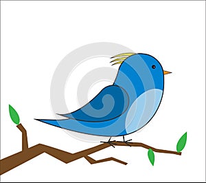 Bird on a branch vector