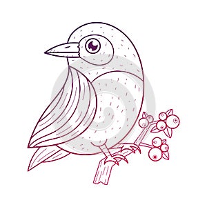 Bird On A Branch Vector Design Elements. Graphic Drawing, Engraving Style photo