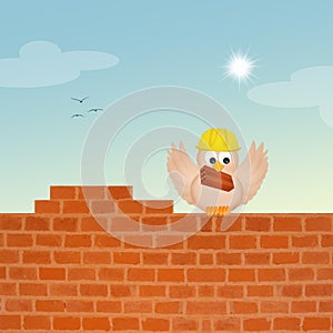 Bird builds brick wall