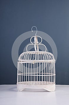 Bird cage